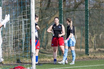 Bild 95 - F Hamburger SV 3 - Blau-Weiss 96 : Ergebnis: 5:1